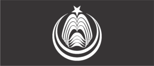 National College of Arts Institute